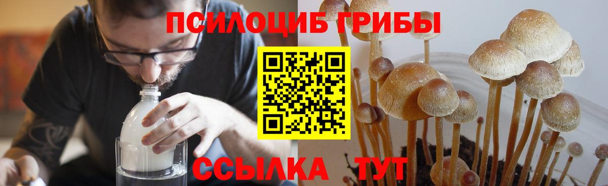 Галлюциногенные грибы Cubensis Чусовой